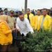 Bupati Pakpak Bharat Ajak Anggota DPR RI Ahmad Doli Kurnia Tandjung Kunjungi Lahan Cabai