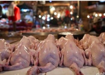 Sejumlah Komoditas Pangan Kembali Naik, Harga Daging Ayam Naik Dekati 40 Ribu Per Kg