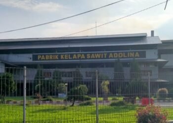 Pabrik Sawit PTPN IV Adolina Pastikan Tidak Terjadi Kebocoran Minyak, Hanya Proses Pembersihan Rutin