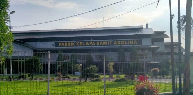 Pabrik Sawit PTPN IV Adolina Pastikan Tidak Terjadi Kebocoran Minyak, Hanya Proses Pembersihan Rutin