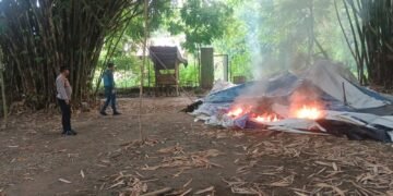 Polsek Kutalimbaru Musnahkan Barak Pengguna Narkoba di Tiga Dusun