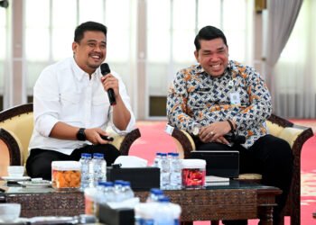 Pemprov Sumut Susun Strategi Pengembangan Kawasan Unggulan Tiga Sektor