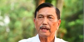 Dituding Sebagai Bos Toba Pulp Lestari, Ini Pengakuan Luhut Pandjaitan