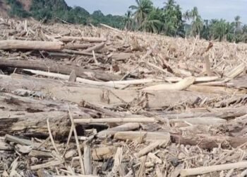 Banjir Gelondongan Kayu dan Eksploitasi Hutan Sijantung Aceh Tamiang Tak Bisa Disangkal