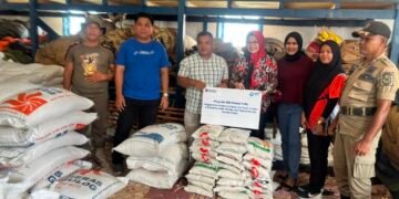 Peduli Korban Banjir, BRI Panyabungan Serahkan Bantuan Melalui BPBD Madina