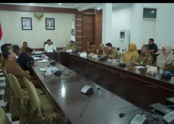 Pemkab Asahan Siap Terhubung ke DTSEN untuk Tingkatkan Ketepatan Data Bansos