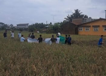 Remaja 16 Tahun Terseret Arus Banjir Ditemukan Tewas di Lorong Sawah Payageli