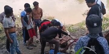 Jasad Pria Ditemukan Membusuk di Sungai Belawan, Diduga Korban Banjir