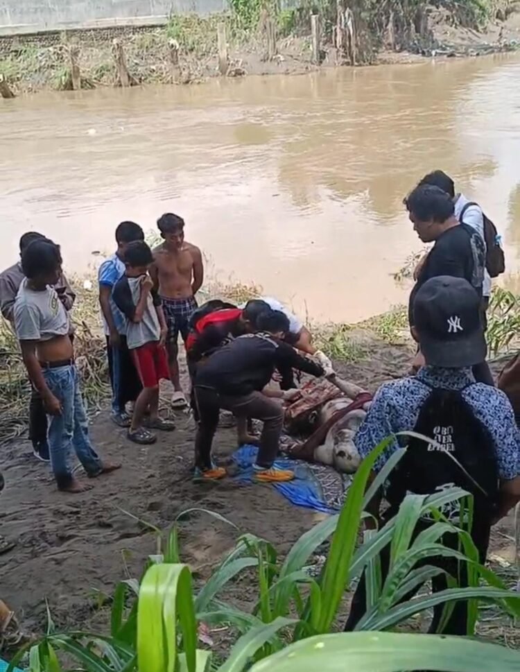 Jasad Pria Ditemukan Membusuk di Sungai Belawan, Diduga Korban Banjir