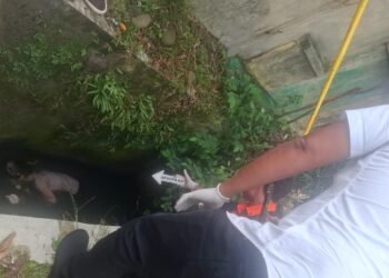 Mayat Wanita Ditemukan di Parit Jalan Brigjen Zein Hamid