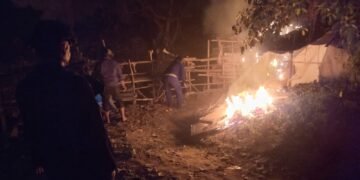 Polsek Medan Helvetia Bersama BKO Brimob Gerebek Sarang Narkoba di Kelambir Lima