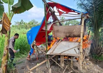 Polsek Medan Helvetia Gerebek Dua Lokasi Sarang Narkoba di Tanjung Gusta