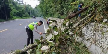 Sat Lantas Polres Karo Evakuasi Kayu Tumbang di Jalan Jamin Ginting Doulu
