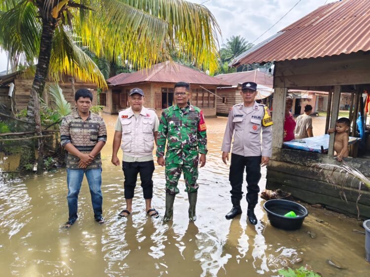 Debit Air Sungai Naik, Bhabinkamtibmas Polsek Sosa Lakukan Patroli dan Pengecekan Lapangan