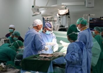 Sepanjang 2025, Penyakit Ginjal dan Jantung Dominasi Kasus di RS Adam Malik