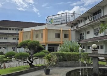 Soal UHC Pasien Bayi yang Ditagih Pembiayaan, Ini Klarifikasi RS Adam Malik dan Sikap Dinkes Sumut