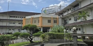 Soal UHC Pasien Bayi yang Ditagih Pembiayaan, Ini Klarifikasi RS Adam Malik dan Sikap Dinkes Sumut