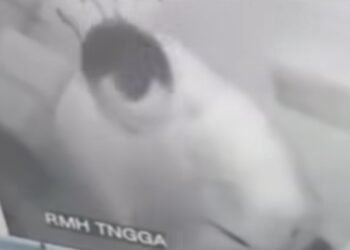 Terkuak Fakta di Balik Viralnya Video RSUD Kudus, Dua Pegawai Mesum di Kamar Jenazah