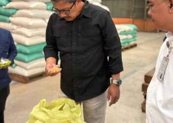 Kesiapan Bulog Menyerap Gabah dan Jagung Hasil Panen Petani