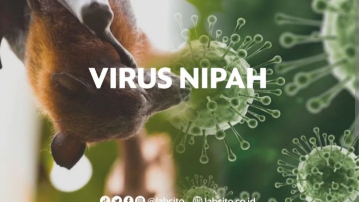 Virus Nipah Alarm Untuk Dunia: Belum Miliki Vaksin dan Cukup Berbahaya