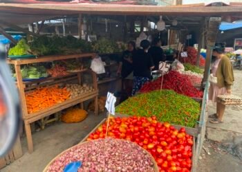 Dampak Bencana di November Mulai Tekan Produksi Cabai Sumut, Sejumlah Harga Mulai Berfluktuasi