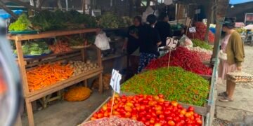 Dampak Bencana di November Mulai Tekan Produksi Cabai Sumut, Sejumlah Harga Mulai Berfluktuasi