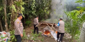 Gelar GSN, Polsek Kutalimbaru Bongkar dan Bakar Gubuk di Desa Sei Mencirim
