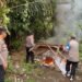 Gelar GSN, Polsek Kutalimbaru Bongkar dan Bakar Gubuk di Desa Sei Mencirim