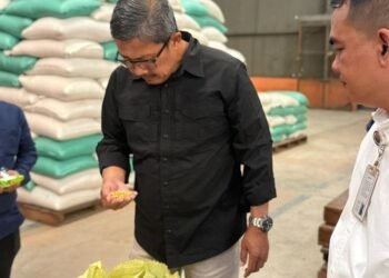 Bulog Siap Serap Gabah dan Jagung Petani di Sumut, Stok Gudang Dipastikan Aman