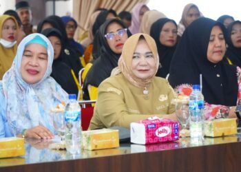 Percepat Penurunan Kematian Ibu dan Bayi, Wabup Langkat Buka Workshop Sehati Bunda