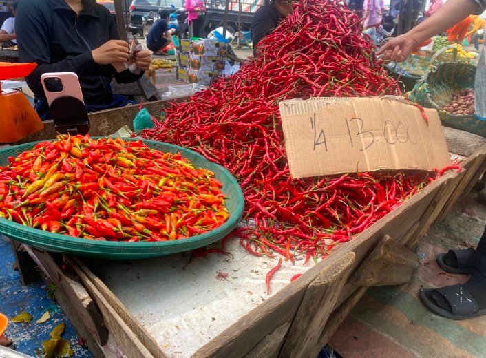 Harga Cabai Terpuruk Setelah Sempat Naik Tajam, Namun Dibayangi Harga Mahal Di Sejumlah Daerah