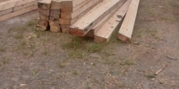 Diduga Marak Penebangan Kayu Ilegal di Siosar, Warga Resah