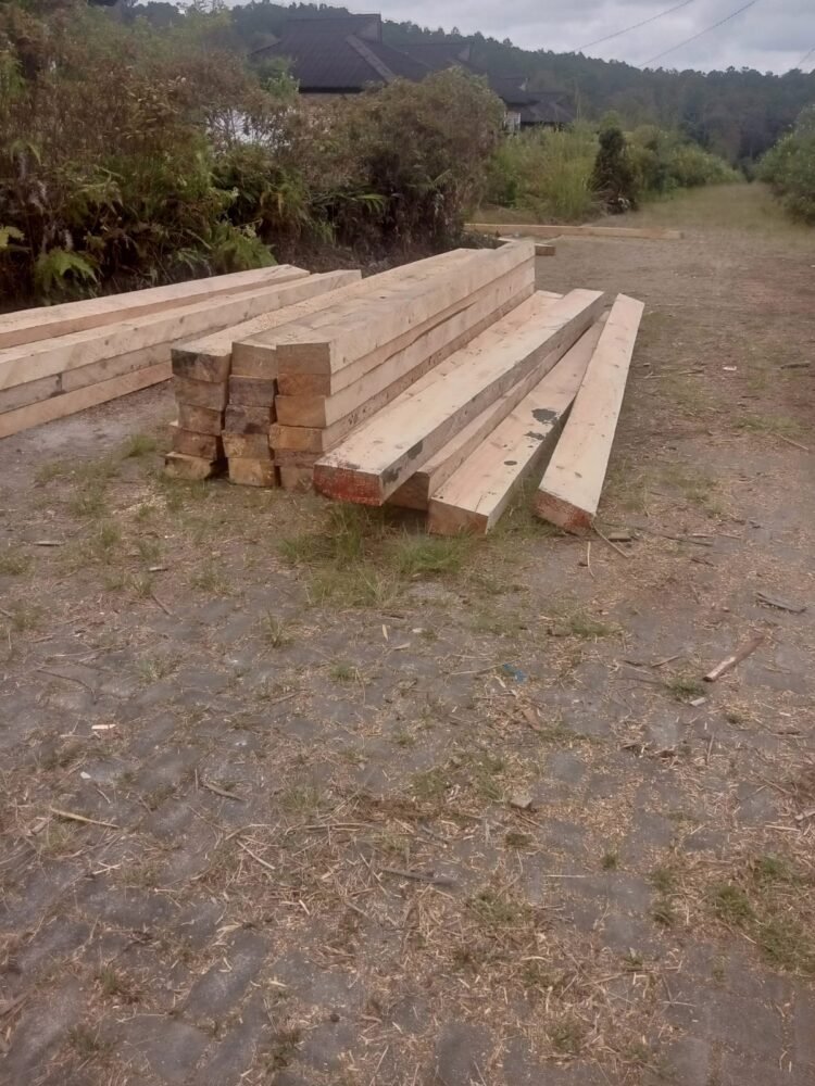 Diduga Marak Penebangan Kayu Ilegal di Siosar, Warga Resah