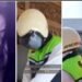 Viral! Link Video Viral Ojol vs Bule di Bali Durasi 17 Menit 