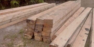 Kayu Siosar Menjadi Bisnis OTK, Kapolres Karo Bungkam