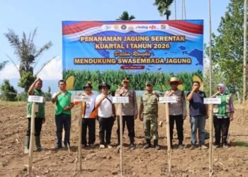 Polres Tanah Karo Tanam Jagung Serentak Dukung Program Swasembada Pangan