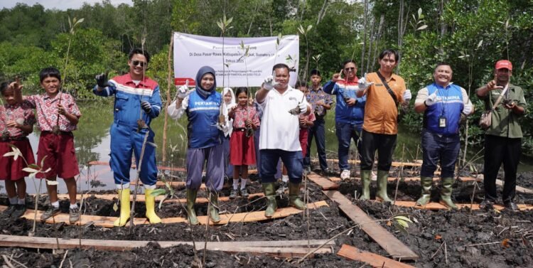 Dari Pembalak Menjadi Penggerak, Jalan Panjang Kasto di Pesisir Langkat