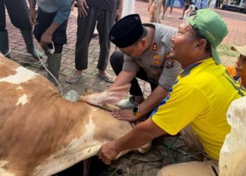 Wujud Kepedulian Kepada Masyarakat, Kapolres Langkat Pimpin Penyembelihan Hewan Qurban