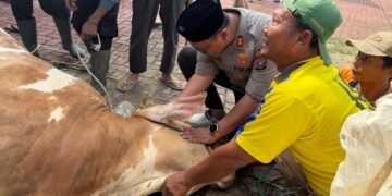 Wujud Kepedulian Kepada Masyarakat, Kapolres Langkat Pimpin Penyembelihan Hewan Qurban