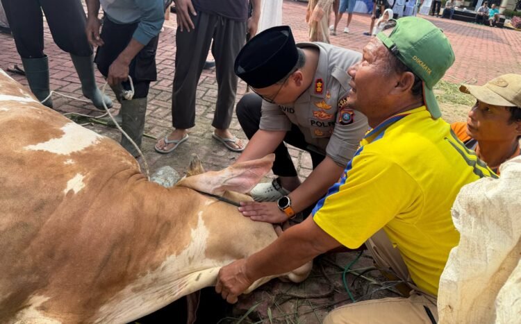 Wujud Kepedulian Kepada Masyarakat, Kapolres Langkat Pimpin Penyembelihan Hewan Qurban