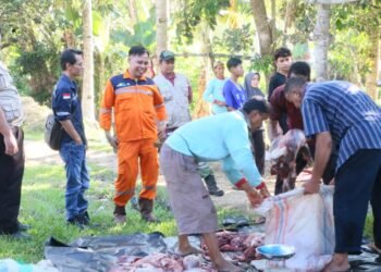 Wujud Kepedulian Sosial, PT PLN Indonesia Power UBP PNS Laksanakan Qurban Bersama