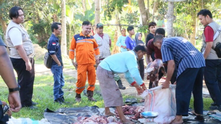 PT PLN Indonesia Power UBP PNS Laksanakan Qurban Bersama