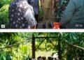 Berpotensi Berbahaya Bagi Pengguna,Bupati Pakpam Bharat Tinjau Jembatan Gantung di Kecamatan STTU Jehe