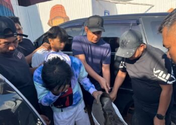 Perdagangan Ilegal Satwa Dilindungi Digagalkan di Sipirok, Polisi Amankan Sisik Trenggiling hingga Kulit Kijang