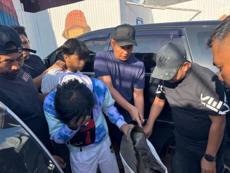 Perdagangan Ilegal Satwa Dilindungi Digagalkan di Sipirok, Polisi Amankan Sisik Trenggiling hingga Kulit Kijang