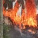 Rumah Adat Sisingamangaraja Terbakar, Remaja 13 Tahun Diamankan