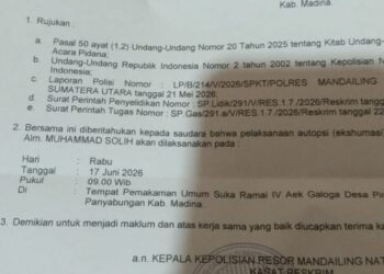 Autopsi, Polres Madina Bongkar Makam Terduga Korban Pembunuhan Sadis di Lokasi Tambang Km 2 Hutabargot