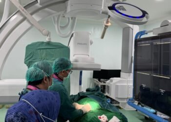 RS Adam Malik Raih Sertifikasi Internasional Advanced Stroke Centre dari WSO