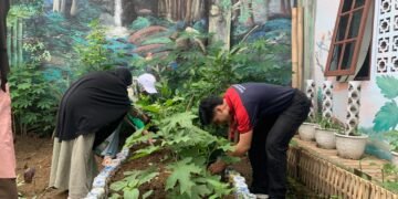 Alfamidi Medan Lanjutkan Aksi Hijau TOGA di Kampung Merdeka Alfamidi