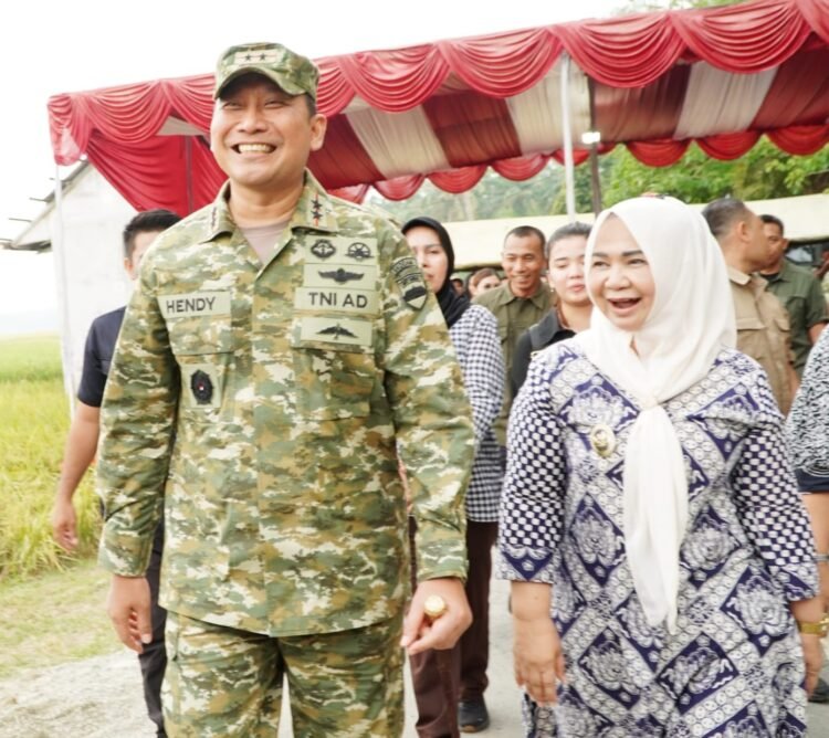 Plt. Bupati Langkat Dampingi Pangdam I/BB Panen Raya TNI, Perkuat Swasembada Pangan